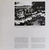 Various : Musica Folklorica De Venezuela (LP, Mono)