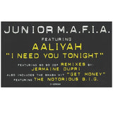 Junior M.A.F.I.A. Featuring Aaliyah : I Need You Tonight (12", Maxi)