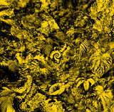 Secretsundaze : WAR1210 (12", Mul)