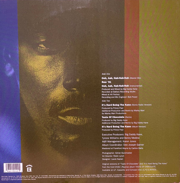 Big Daddy Kane : Raw '91 (12", Maxi)