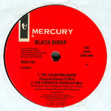 Black Sheep : Try Counting Sheep (12")
