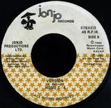 Home T : Irons In The Fire (7")