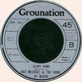 Ras Michael & The Sons Of Negus : None A Jah Jah Children  (7")