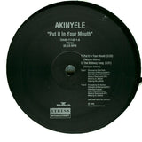 Akinyele : Put It In Your Mouth (12", EP, RE)