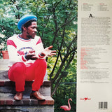 Albert Griffiths & The Gladiators : In Store For You (LP, Album)