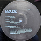 Alex Gopher With Demon Presents Wuz : Wuz (2xLP, Album)