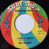The Malibus (5) : Two At A Time / I Had A Dream (7", Promo)