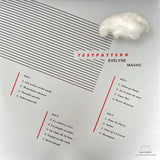 Evelyne* /  Masao* : Testpattern (2xLP, Album)