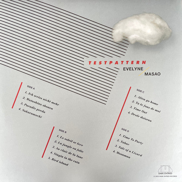 Evelyne* /  Masao* : Testpattern (2xLP, Album)