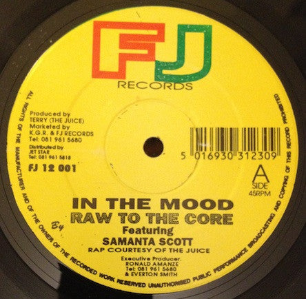 Raw To The Core Featuring Samantha Scott : In The Mood (12", Single)