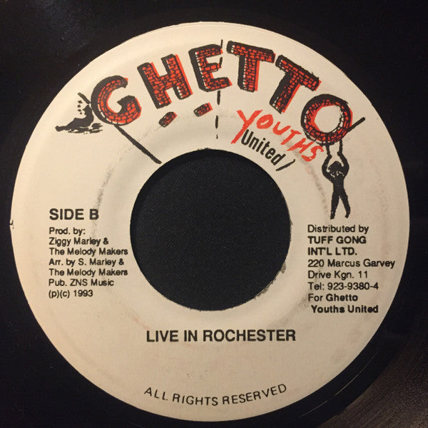 Stephen Marley : Rebel In Disguise (7")