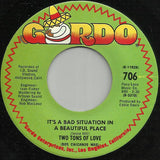 Two Tons Of Love : It's A Bad Situation In A Beautiful Place / Brown And Beautiful (7")