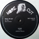 Joshua Moses (2) : Africa Is Our Land / Home (12")