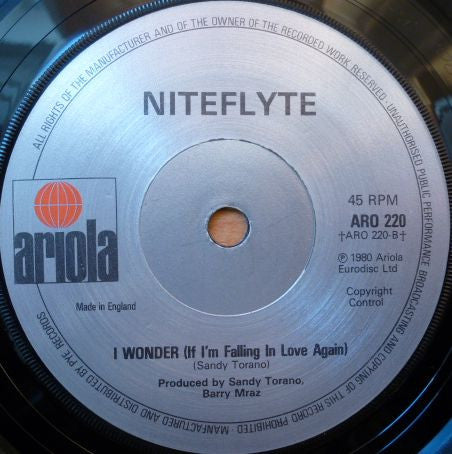 Niteflyte : If You Want It (7", Single)