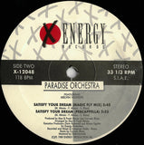 Paradise Orchestra : Satisfy Your Dream (12")