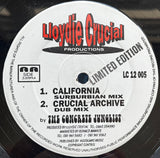 The Concrete Junglist : Southern California (12", Ltd)