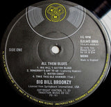Big Bill Broonzy : All Them Blues (2xLP, Comp, Mono)