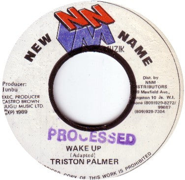 Tristan Palmer : Wake Up (7")