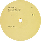 Petre Inspirescu : Grădina Onirică (3xLP, Album, Ltd)