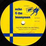 Echo And The Bunnymen* : The Pictures On My Wall (7", Single, RE, Dam)