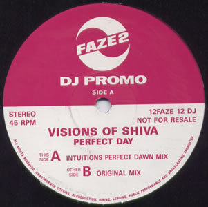 The Visions Of Shiva : Perfect Day (12", Promo)