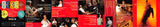 Spyro Gyra : Wrapped In A Dream (CD, Album)