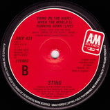 Sting : Englishman In New York (12", Single)