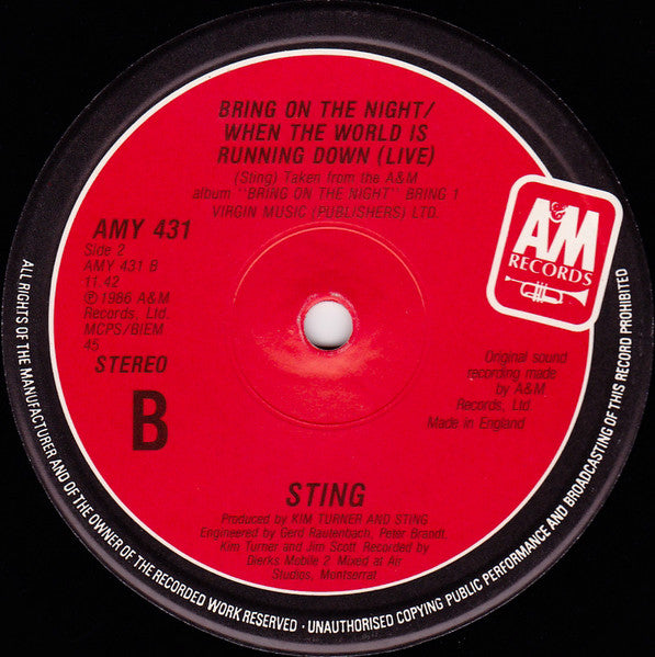 Sting : Englishman In New York (12", Single)