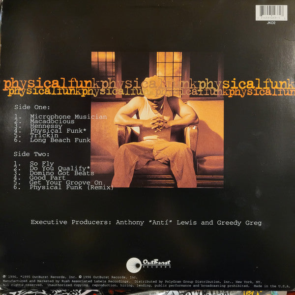 Domino : Physical Funk (LP, Album)