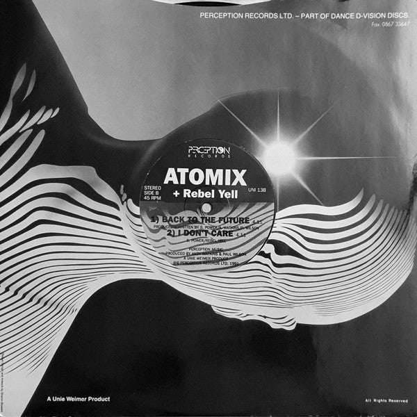Atomix : The Future (12")