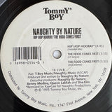 Naughty By Nature : Hip Hop Hooray  (12")