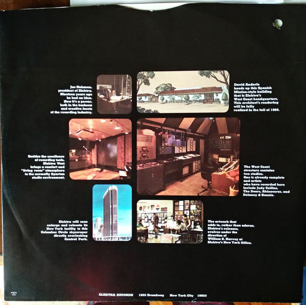 Rhinoceros (2) : Satin Chickens (LP, Album)