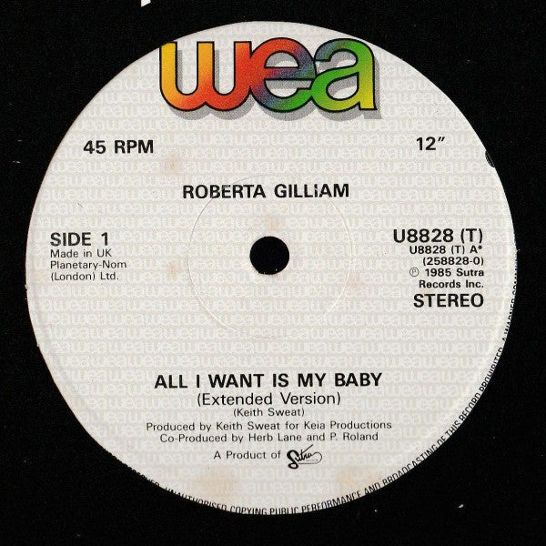 Roberta Gilliam : All I Want Is My Baby (12", Single)