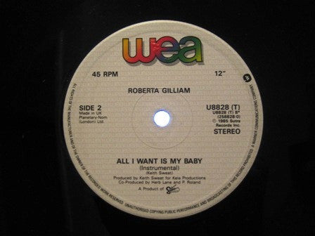 Roberta Gilliam : All I Want Is My Baby (12", Single)