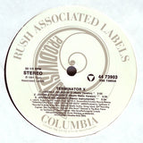 Terminator X : Juvenile Delinquintz / Back To The Scene Of The Bass (12")
