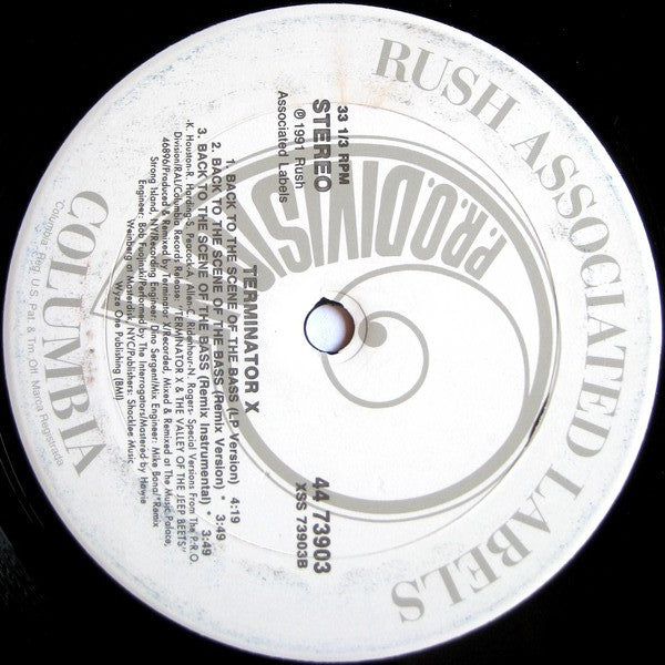 Terminator X : Juvenile Delinquintz / Back To The Scene Of The Bass (12")