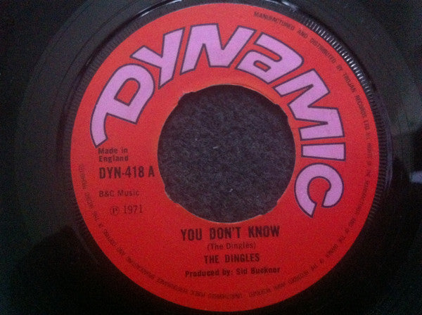 The Dingles : You Don't Know (7")