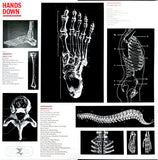 Bob James : Hands Down (LP, Album, Gat)