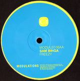 Sam Binga : AYO / Freezy (10", Hot)