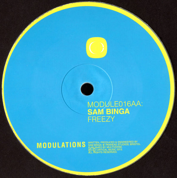 Sam Binga : AYO / Freezy (10", Hot)