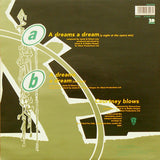 Soul II Soul : A Dreams A Dream (12", Single)