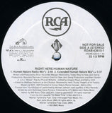 SWV : Right Here / Human Nature (12", Single, Promo)