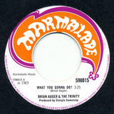Brian Auger & The Trinity : What You Gonna Do? (7", Single)