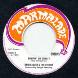 Brian Auger & The Trinity : What You Gonna Do? (7", Single)