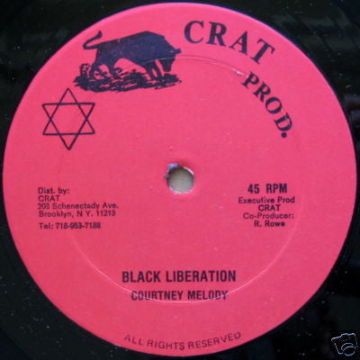 Courtney Melody : Stop Inform / Black Liberation (12")