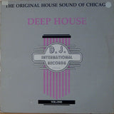 Various : The Original House Sound Of Chicago: Deep House Vol. One (LP, Comp)
