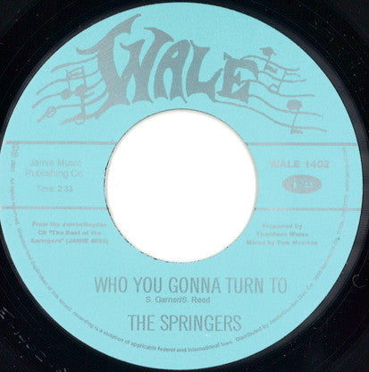 The Springers : Who You Gonna Turn To  (7")