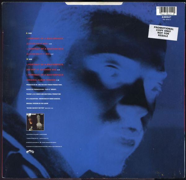 The D.O.C. : Portrait Of A Masterpiece (12")