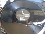 Tigerstyle (2) : Bhang' Goes Tha Riddim!!! (12", Promo)