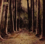 Dusted : When We Were Young (LP, Gat)